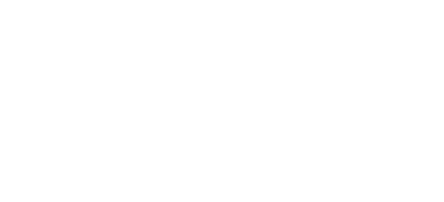 Women's Clothes